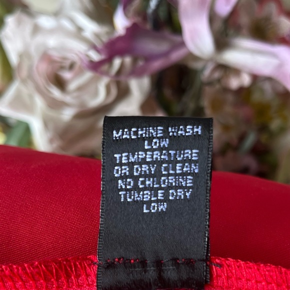 •Rhapsody• Red Dress with Mesh Insert and Back - Size Large - Picture 6 of 7